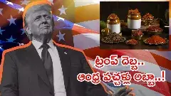 Donald Trump, ఆంధ్రా పచ్చళ్లు,Pickels