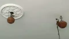 ఈ మాజీ పోస్టు మాస్టర్ కు పిచ్చుకలే ప్రపంచం