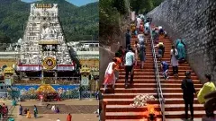 తిరుమల అలిపిరి నడకదారిలో భక్తుల రక్షణకు హైకోర్టు కీలక ఆదేశాలు