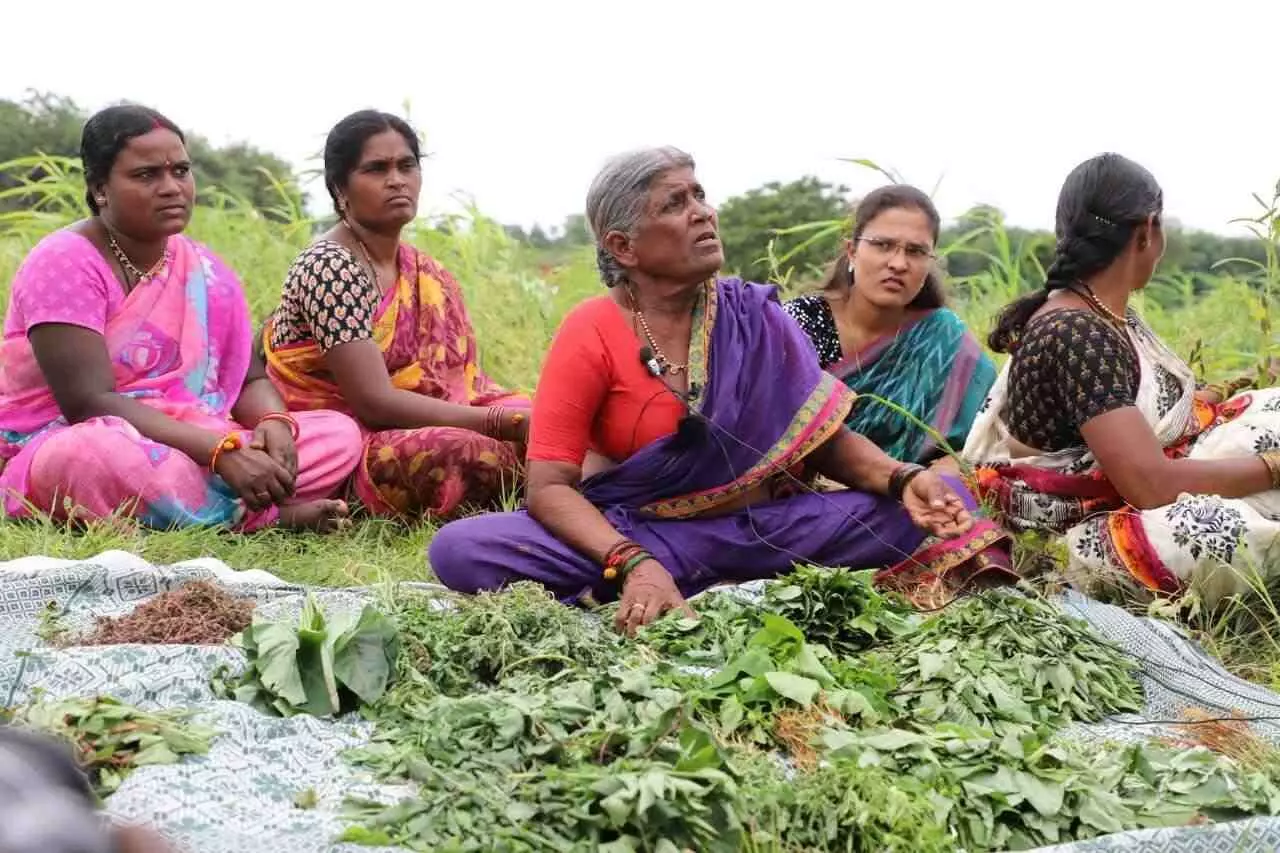 కలుపు మొక్కలతో కమ్మని పోషకాహారం..! కలుపు మొక్కలతో కమ్మని పోషకాహారం..!