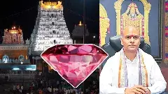 సింఘాల్ వచ్చే పింక్ డైమండ్ మళ్లీ తెరపై కొచ్చే..