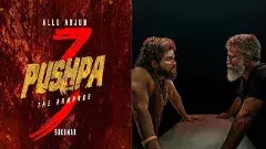 పుష్ప 3  ఫైనల్ చాప్టర్‌తో పుష్పరాజ్ కథ ముగింపు