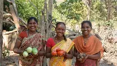 యూరియా ఎరగని ఊరు..