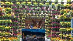 తిరుమల:కలియుగ వైకుంఠంలో కథలు చెబుతున్న పుష్పాలు..