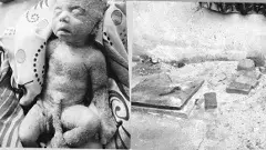 తిరుపతి:అమ్మా నేనేమి పాపం చేశా తల్లీ...