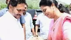 జగన్ డిజిటల్ బుక్లో అడ్డంగా బుక్ అయిన మాజీ మంత్రి విడదల రజనీ