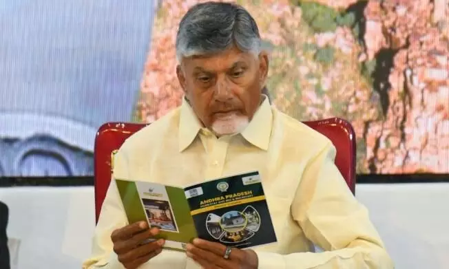 ఢిల్లీకి ముఖ్యమంత్రి చంద్రబాబు