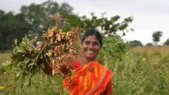 కరువుపై వనితల విజయం ఎలా సాధ్యమైంది..?