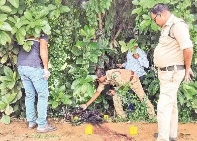ప్రేమన్నాడు, బ్లేడుతో గొంతు కోసి చంపాడు!