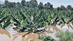 ఉత్తరాంధ్రలో భారీ వర్షాల బీభత్సం అంతా ఇంతా కాదు