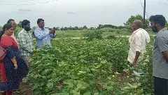 ఈ-పంట డిజిటల్ సర్వే నమోదు అక్టోబర్ చివరి వరకు