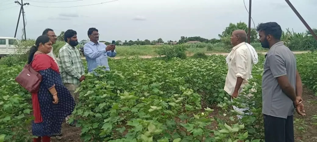 ఈ-పంట డిజిటల్ సర్వే నమోదు అక్టోబర్ చివరి వరకు