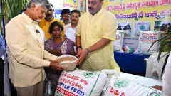 ఏపీలో పశువులకు హాస్టళ్లు