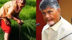 రైతులను పరిశ్రమలతో అనుసంధానం