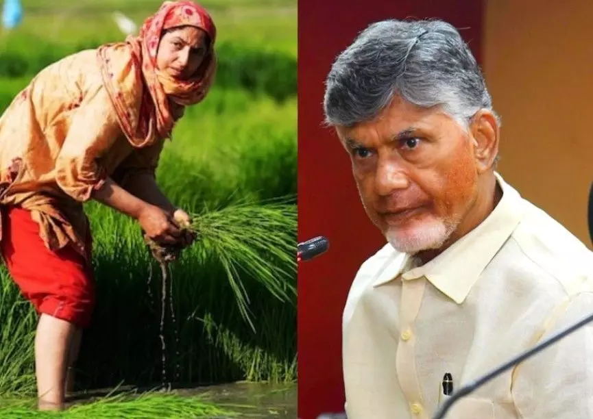 రైతులను పరిశ్రమలతో అనుసంధానం