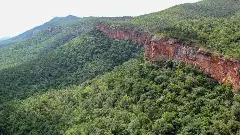 ఈ ఆలయాలకు సహజ రక్షణగా అడవులు