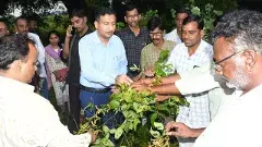 అందని పంట నష్టపరిహారం, ఆందోళనలో రైతాంగం