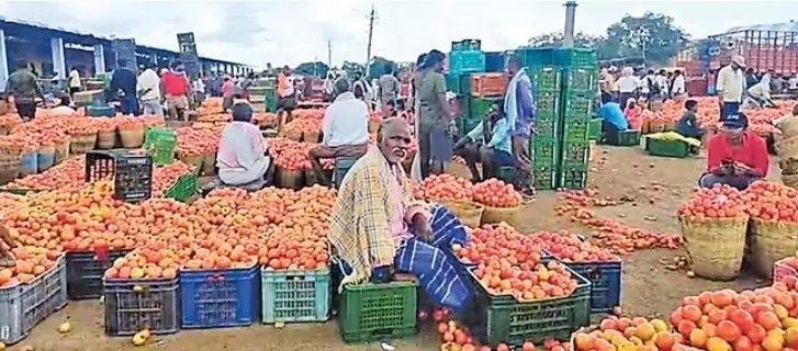 ఘోరంగా టమాటా ధరలు