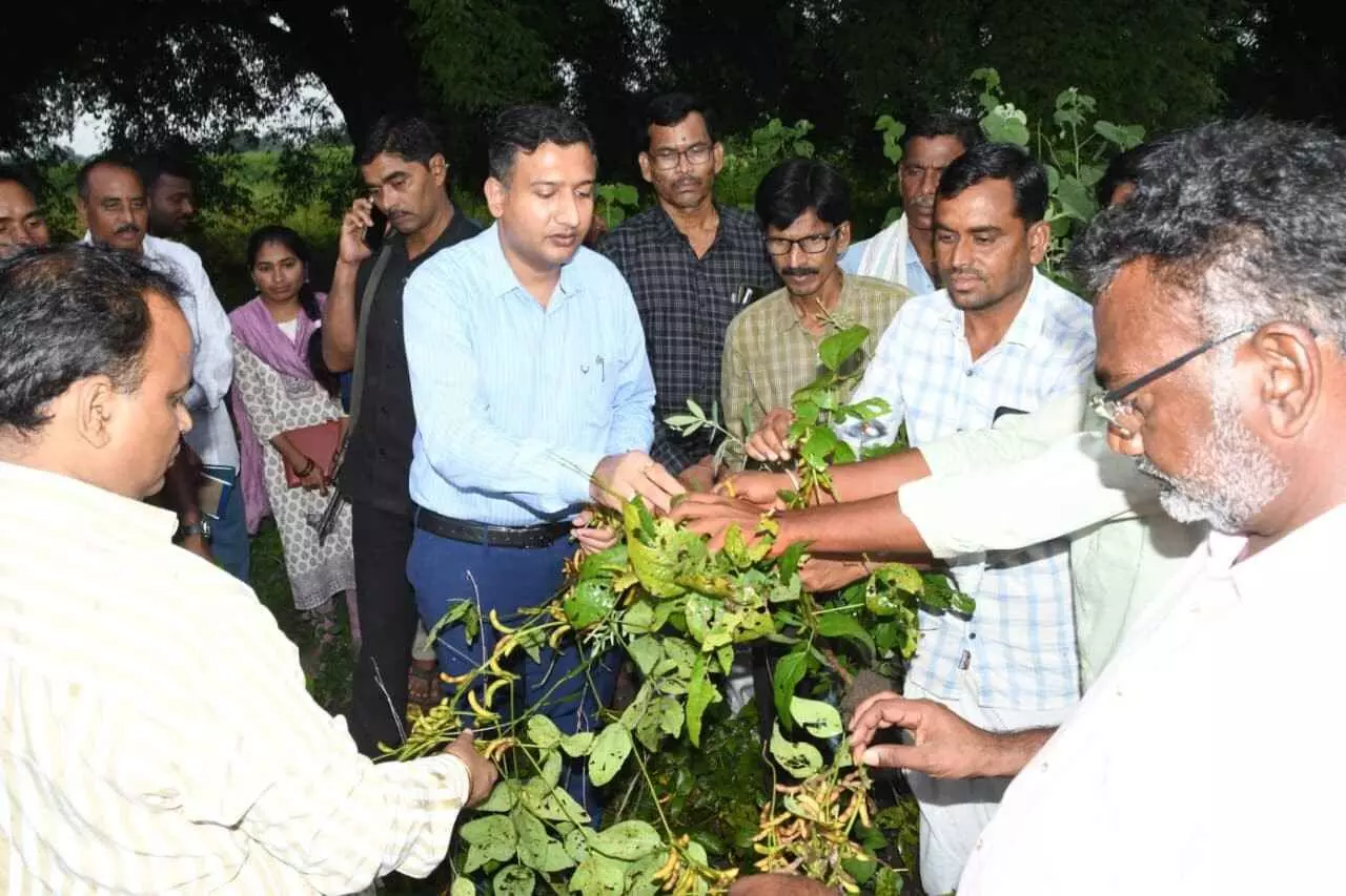అందని పంట నష్టపరిహారం, ఆందోళనలో రైతాంగం