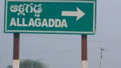 ఆళ్లగడ్డలో టీడీపీ, జనసేన కొట్లాట .