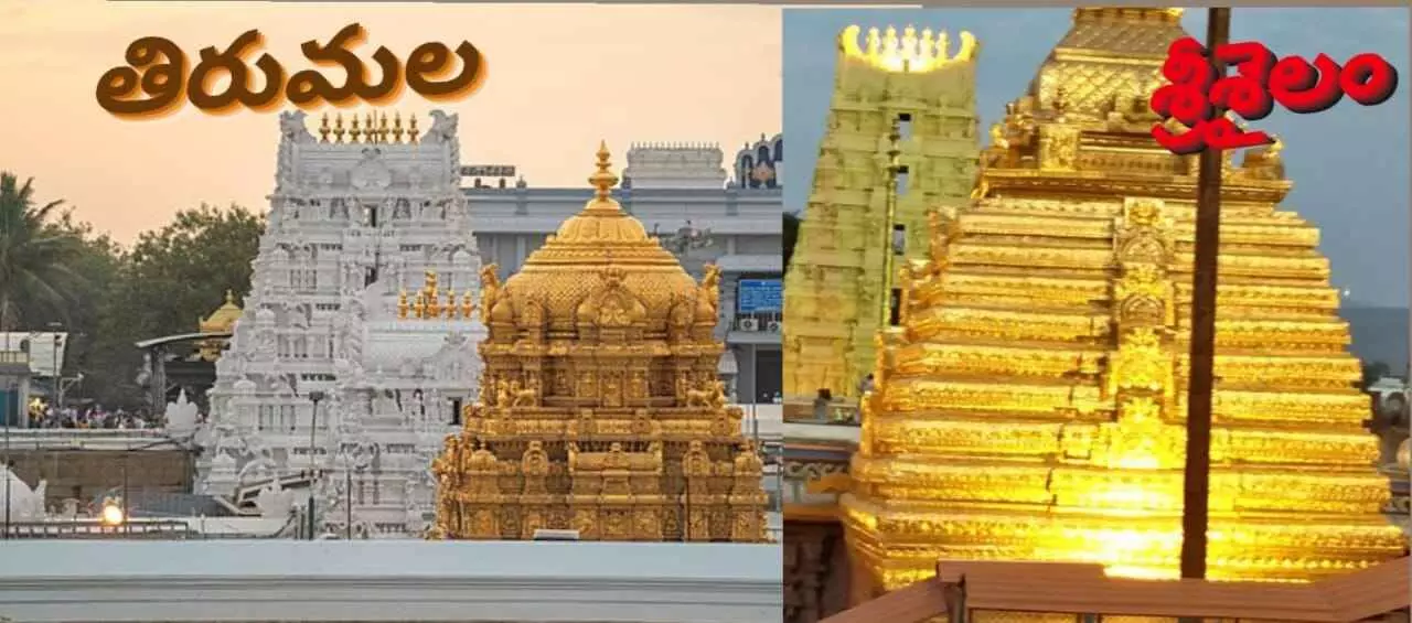 తిరుమల తరహాలో అన్నదానం, వసతి, మల్లన్న దర్శనం... తిరుమల తరహాలో అన్నదానం, వసతి, మల్లన్న దర్శనం...