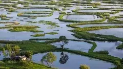 చిగురించనున్న చిత్తడి నేలలు