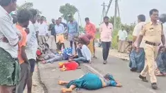 నెల్లూరు:ఆ.. ఆరేళ్ల బాలిక  మృత్యుంజయురాలు...