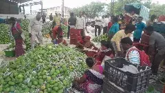 సబ్సిడీ ఆదుకున్నా .. 2026 వరకు మామిడి రైతులకు విషాదమే..