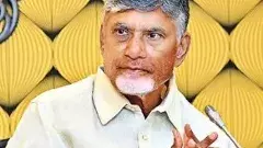 సీఎం సీరియస్..కందుకూరుకు కదిలిన మంత్రులు