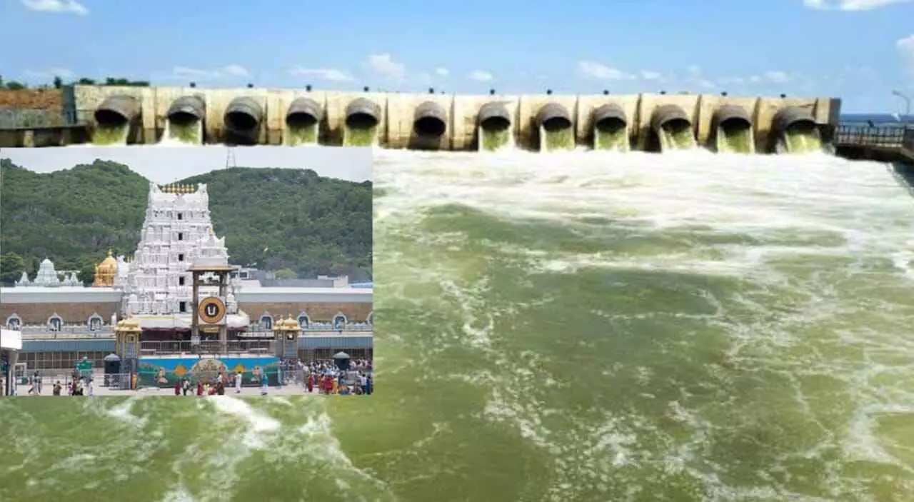 తిరుమల శ్రీవారి పాదాలను స్పర్శించనున్న కృష్ణమ్మ తిరుమల శ్రీవారి పాదాలను స్పర్శించనున్న కృష్ణమ్మ