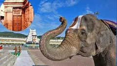 శ్రీనివాసా...సామాన్యులకు వైకుంఠ ద్వారంలో దర్శనం ఉంటుందా?