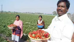 శాస్త్రవేత్తలకే సాగు పాఠాలు చెప్తున్న గిరిజనుడు.. అసలు ఈ కథేంటో తెలుసా..!