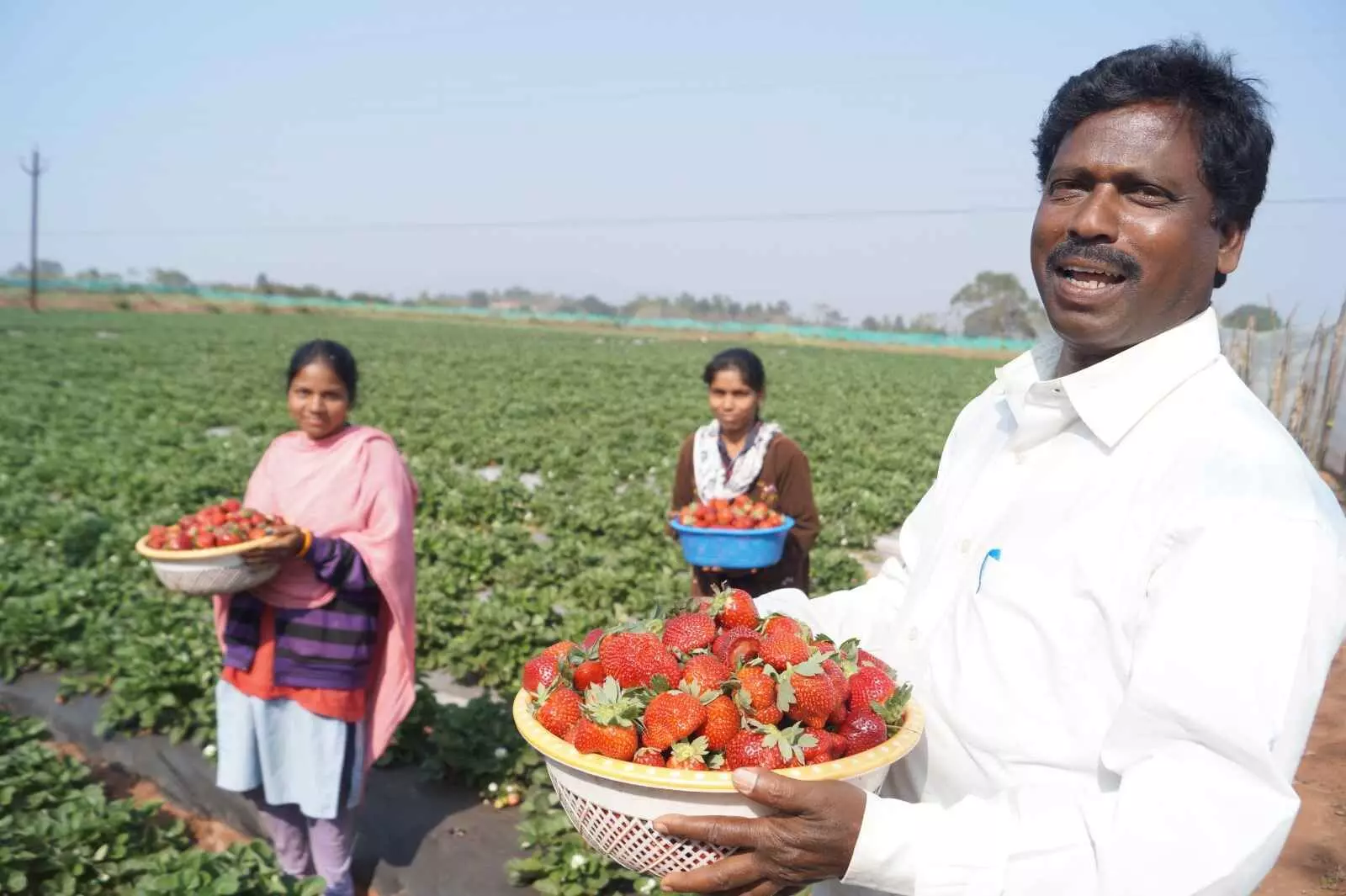 శాస్త్రవేత్తలకే సాగు పాఠాలు చెప్తున్న గిరిజనుడు.. అసలు ఈ కథేంటో తెలుసా..! శాస్త్రవేత్తలకే సాగు పాఠాలు చెప్తున్న గిరిజనుడు.. అసలు ఈ కథేంటో తెలుసా..!