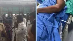 కోడికత్తి కమల్ హాసన్ అంటూ జగన్ పై టీడీపీ పోస్టు