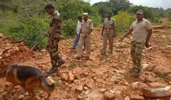 కలపస్మగ్లర్లు,వేటగాళ్లకు చెక్‌పోస్ట్‌గా మారిన ఫారెస్ట్ స్నిఫర్ డాగ్స్