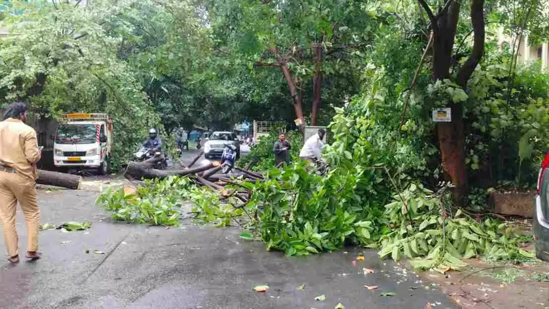 అంతర్వేదిపాలెం వద్ద తీరాన్ని తాకిన తుపాను అంతర్వేదిపాలెం వద్ద తీరాన్ని తాకిన తుపాను