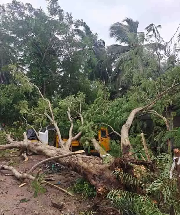 మొంథా ముంచింది..కూల్చింది మొంథా ముంచింది..కూల్చింది