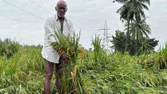 ఏపీలో మొంథా తుపాను నష్టం రూ.5,265 కోట్లు