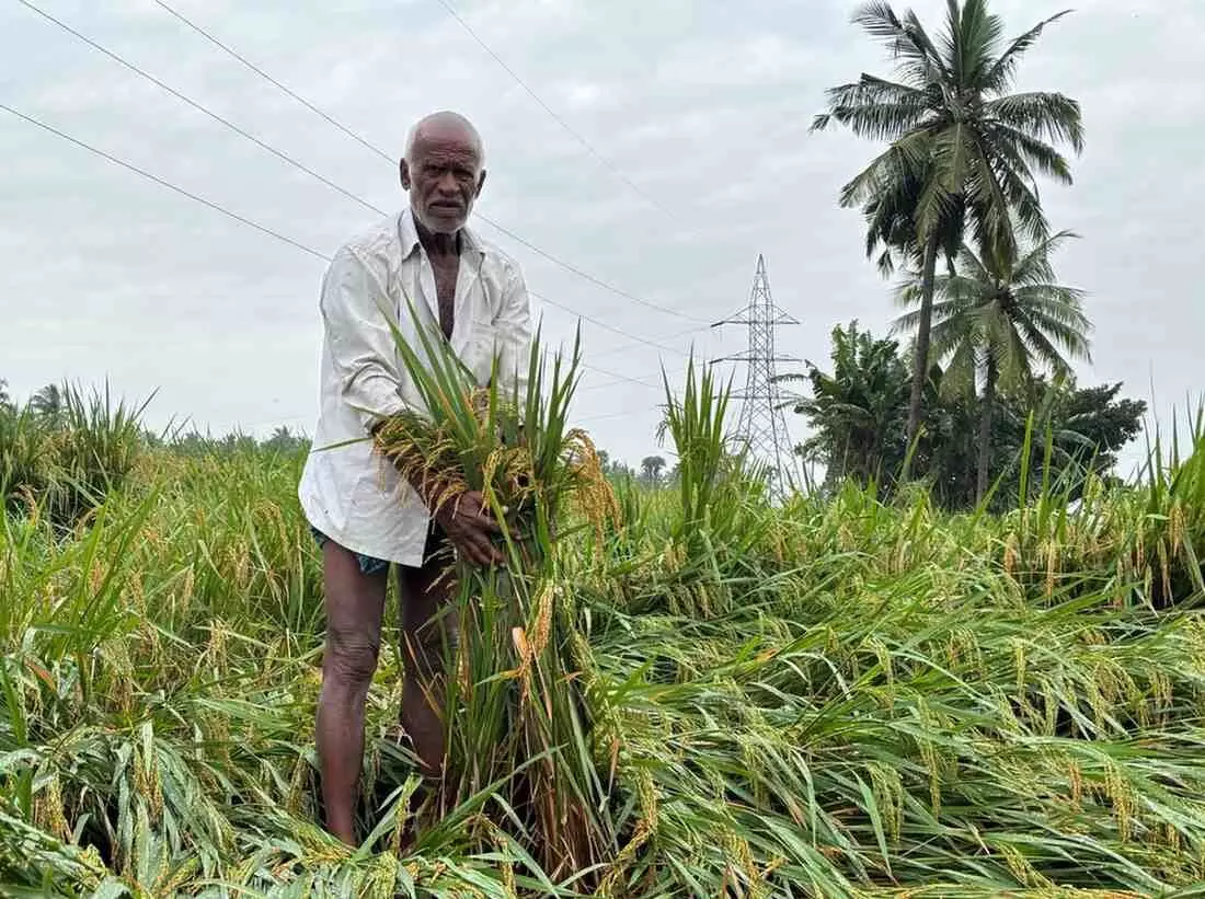 ఏపీలో మొంథా తుపాను నష్టం రూ.5,265 కోట్లు
