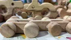 నీమ్ టాయిస్ గురించి ఎంత మందికి తెలుసు?