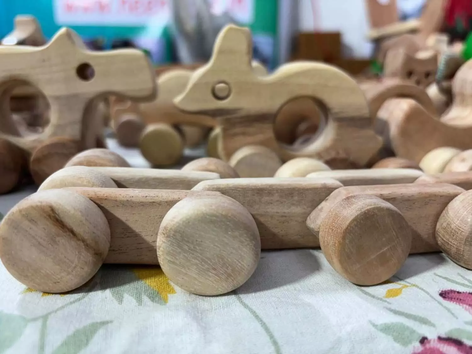 నీమ్ టాయిస్ గురించి ఎంత మందికి తెలుసు? నీమ్ టాయిస్ గురించి ఎంత మందికి తెలుసు?