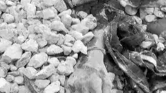 నియంత్రణ లేని వాహనాలు..గాలిలో కలుస్తున్న ప్రాణాలు