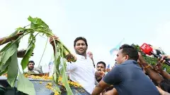 రైతుల మధ్యకు జగన్‌: మోంథా తుపాను పీడిత ప్రాంతాల పరిశీలనన