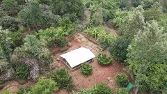 అరెకరంతో అద్భుతమైన ఆదాయం