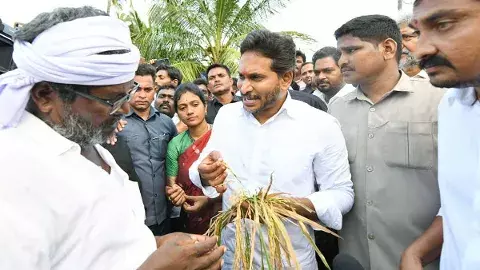 మొంథా తుపాను బాధిత రైతుల పరిస్థితి దారుణం: వైఎస్ జగన్