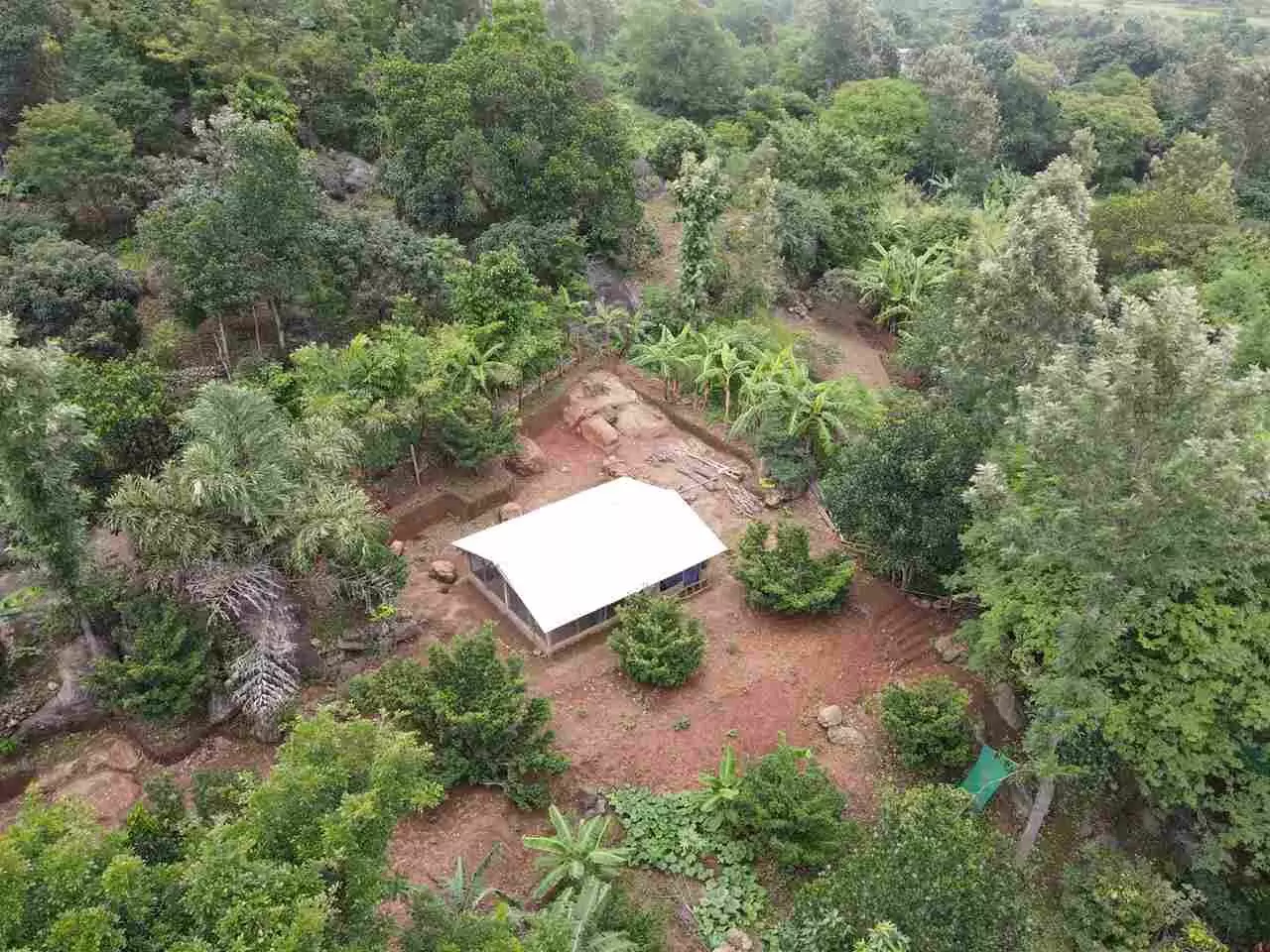 అరెకరంతో అద్భుతమైన ఆదాయం అరెకరంతో అద్భుతమైన ఆదాయం