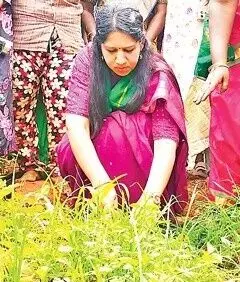 ఈ కలెక్టరమ్మ.. కలుపు తీసిందమ్మా! ఈ కలెక్టరమ్మ.. కలుపు తీసిందమ్మా!