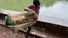 వలే సర్వస్వం, చేపలే సత్యం- కృష్ణా తీరంలో జాలర్ల కన్నీటి పాట!