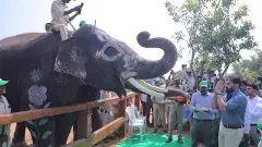 పలమనేరు:పల్లె జనం, పంటలకు రక్ణణ కోసం కుంకీ ఏనుగుల వార్ జోన్..