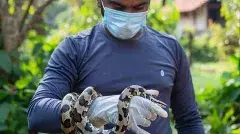 గ్రామానికో సర్పమిత్ర